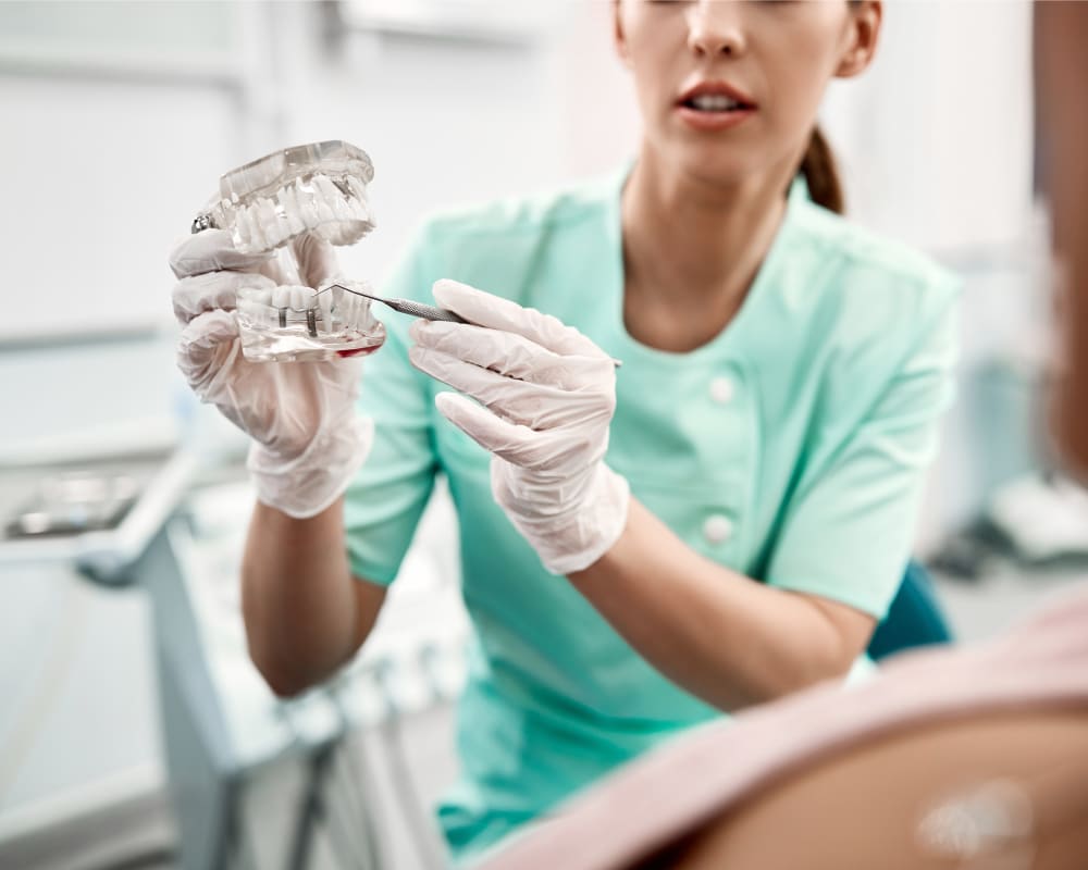 A dental professional shows a model of dental implants.